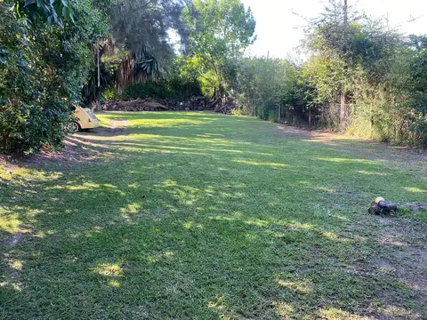 Pedro Nolasco Carrion 400