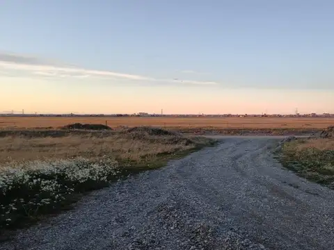 PROPIEDADES RURALES - INDUSTRIALIZACION - MARGEN SUR, RÍO GRANDE