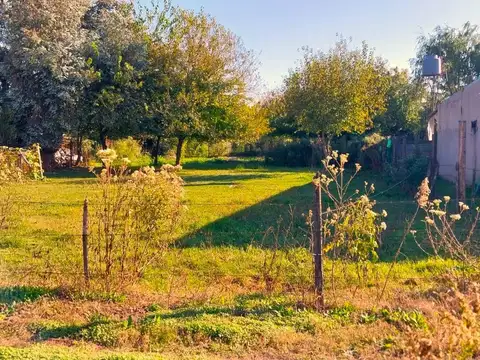 511 e/ 502 y 504 Gowland