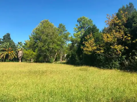 Terreno en Venta en Joaquin Gorina, USD 50.000