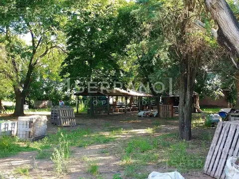 MMP. Campo 146 ha. Zona Cardales, Campana