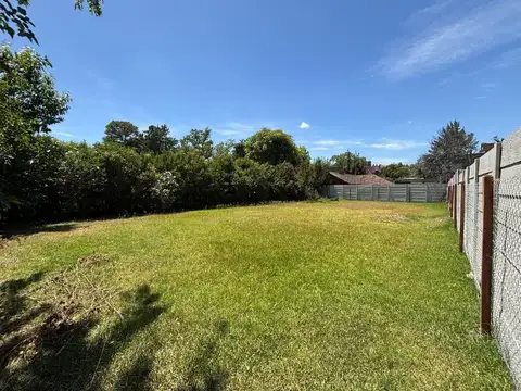 Leandro Niceforo Alem 1800