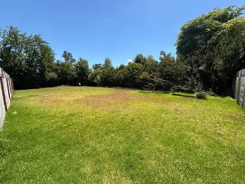 Leandro Niceforo Alem 1800