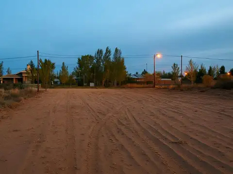 Villa Traful & MOQUEHUE 100