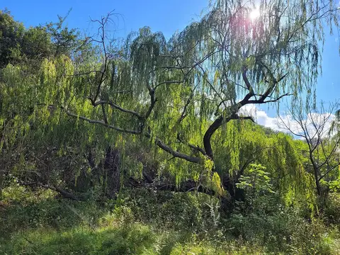 Terreno en Venta de 771,0 m2