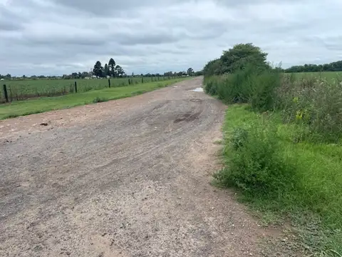 11 has acceso asfaltado y luz en frente.