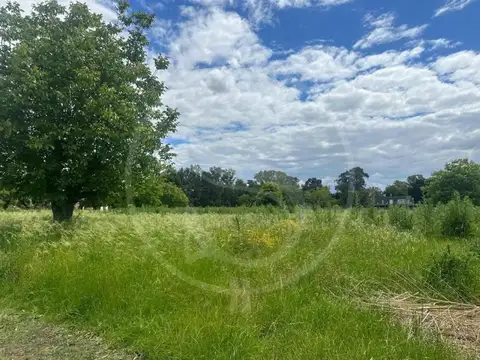 CHACRA 1 HECTAREA EN VENTA SAN ANDRES DE GILES SIN EXPENSAS