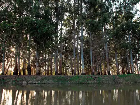 Autopista del Sol,Ramal N° 9, Km. 60.5