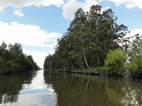 VENTA LOTE EN BAHÍAS DEL PARANÁ - CHACRA 2450 M2