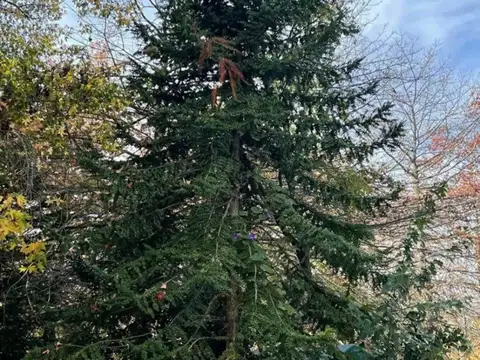 Barrio Privado Villa rosa 100