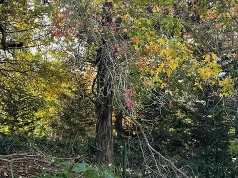 Terreno en Venta en Villa Rosa, USD 79.000