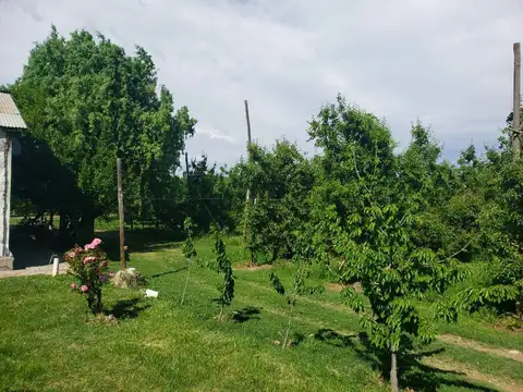 CHACRA CON CASA, GALPON Y PILETA (SUP 95000 m2)