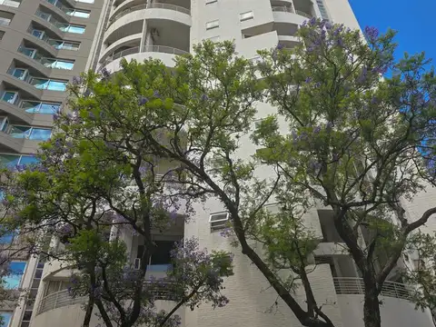 Departamento en Alquiler al Norte