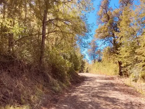 Terreno en Venta 47  mts Frente