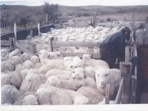 Casa en Venta en Puerto Deseado, USD 1
