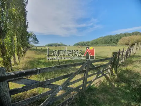 Hermosa Casa sobre lote arbolado de una hectárea