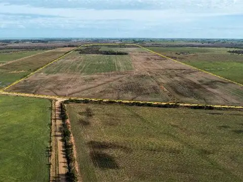 En Exclusivo 209 Ha, Tierras de calidad