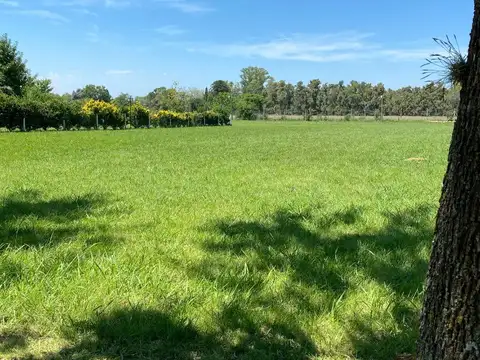 Terreno en Venta en Manzanares, USD 45.000