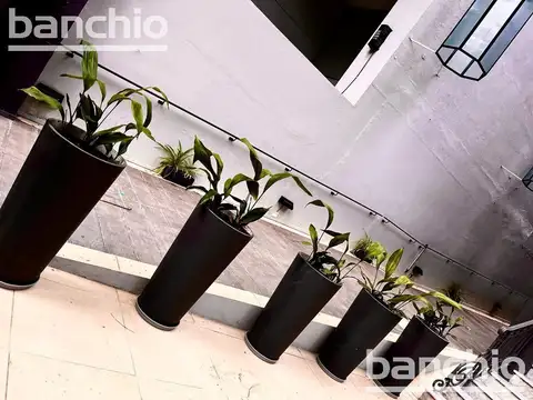 Imponente edificio de oficinas nuevo sobre Bv. Oroño