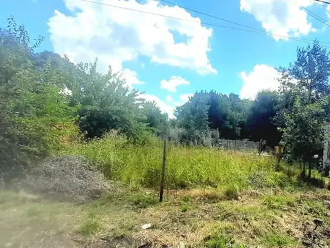 Terreno en Venta de 500,0 m2