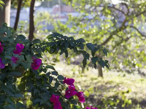 Terreno en Venta de 220,0 m2