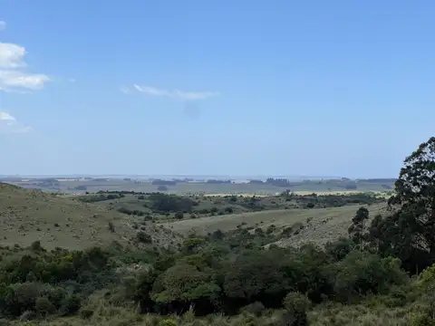 Campo en venta de 32ha ubicado en Garzon Abajo