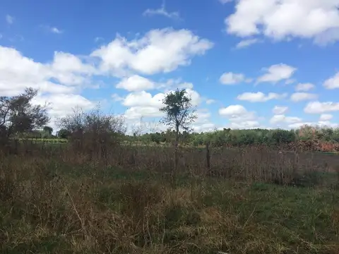 Terreno en Venta en 178/39 Y 40 La Plata - Alberto Dacal Propiedades