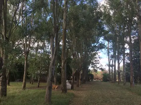 Terreno en Venta 120  mts Fondo