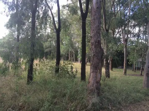 Terreno en Venta 120  mts Frente