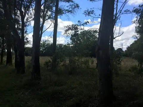 Terreno en Venta en La Plata, USD 650.000