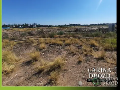 Terreno / Lote en venta de 1100m2 ubicado en Lunlunta