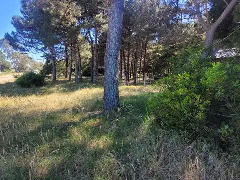 Terreno en Venta en Nueva Atlantis, USD 15.000