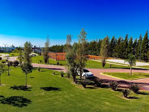 Av. Fuerza Aerea 1451-1581