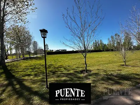 Terreno en Alejandro Petion con Escritura