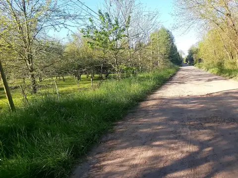 504 E/ 229 Y 231 TERRENO