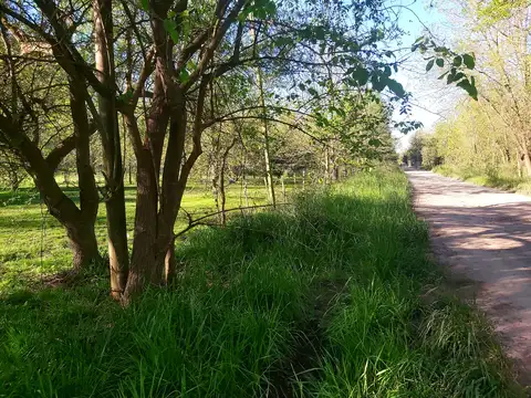 CAMPO EN ABASTO DE 10.427 MTS 2 TOTALES EN ABASTO: