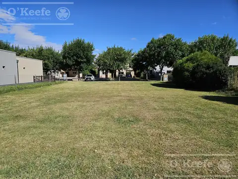 Terreno en Barrancas de Iraola