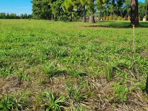 Terreno en Venta en Los Pinares Country Club, USD 59.000