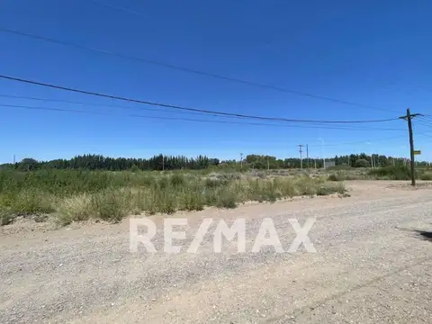 Terreno en Alquiler en Plottier, $ 2.300.000