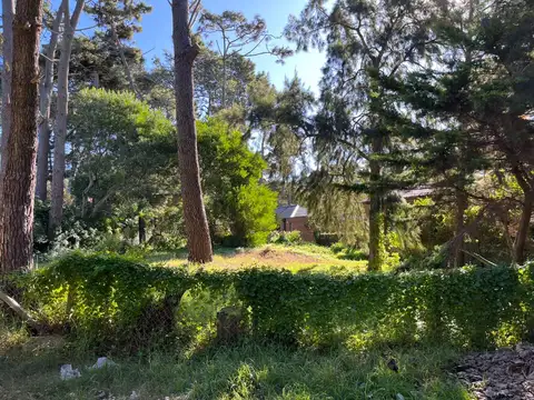 Terreno en Venta 23,37  mts Frente