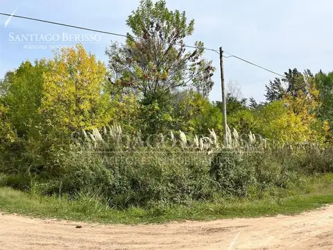 Terreno en Venta de 1597,0 m2