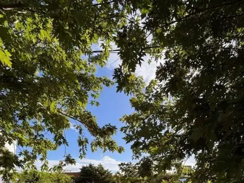 132 bis e/ 507 y 508