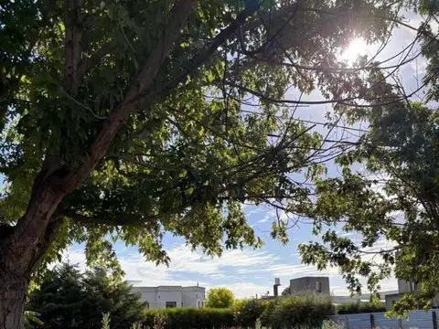 Terreno en Venta en Joaquin Gorina, USD 69.000