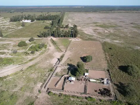 Campo en Venta Ganadero