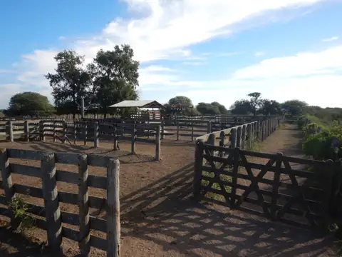 Campo en Venta de 2.187  ha