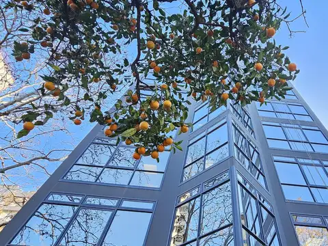 Venta Oficina  San Isidro Centro