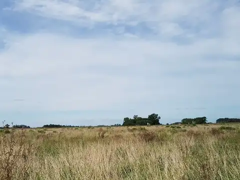 OPORTUNIDAD EXCLUSIVO! CAMPO 10HECT. EN LOBOS , ZONA HARAS, AGRICOLA GANADERA IDEAL EMPRENDIMIENTO