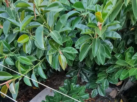 CASA IDEAL USO PROFESIONAL O DOS FAMILIAS