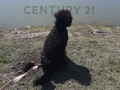 Terreno en Venta en Principado Ciudad Nautica, USD 89.000