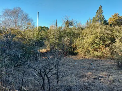 Terreno en Venta de 1539,0 m2